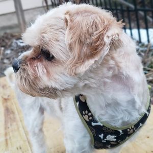 Meet your Posher, Charlie